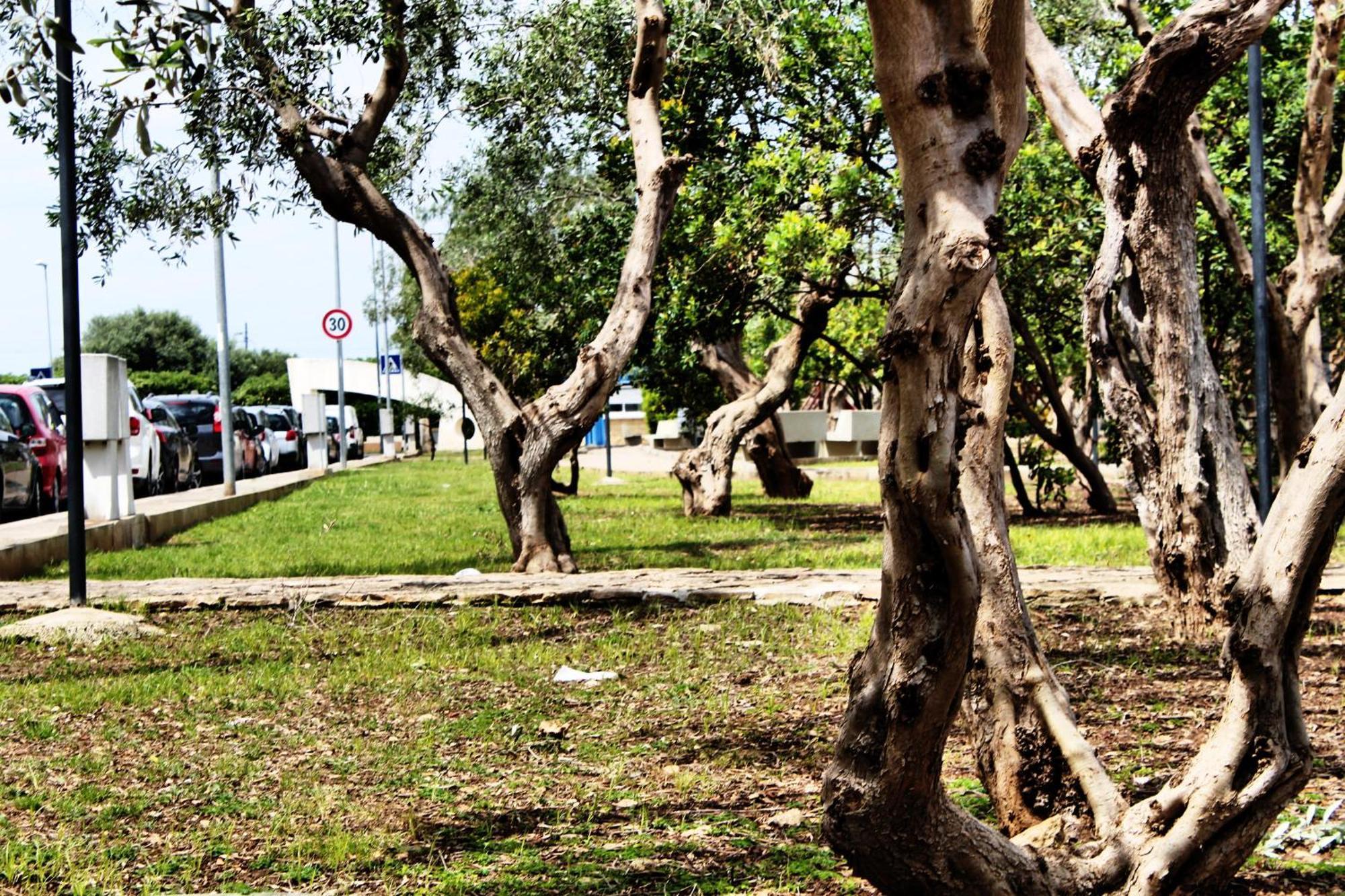 Appartamento Fara 8 Bari Esterno foto